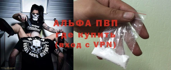 хмурый Тайга
