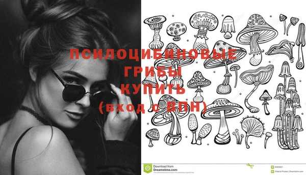 гашик Володарск