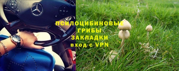 дурь Строитель