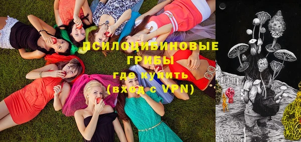 прущие грибы Волосово