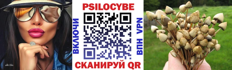 Псилоцибиновые грибы GOLDEN TEACHER  цены   Мариинск 