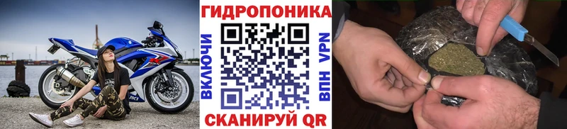 Шишки марихуана ГИДРОПОН  закладка  omg как зайти  Мариинск 